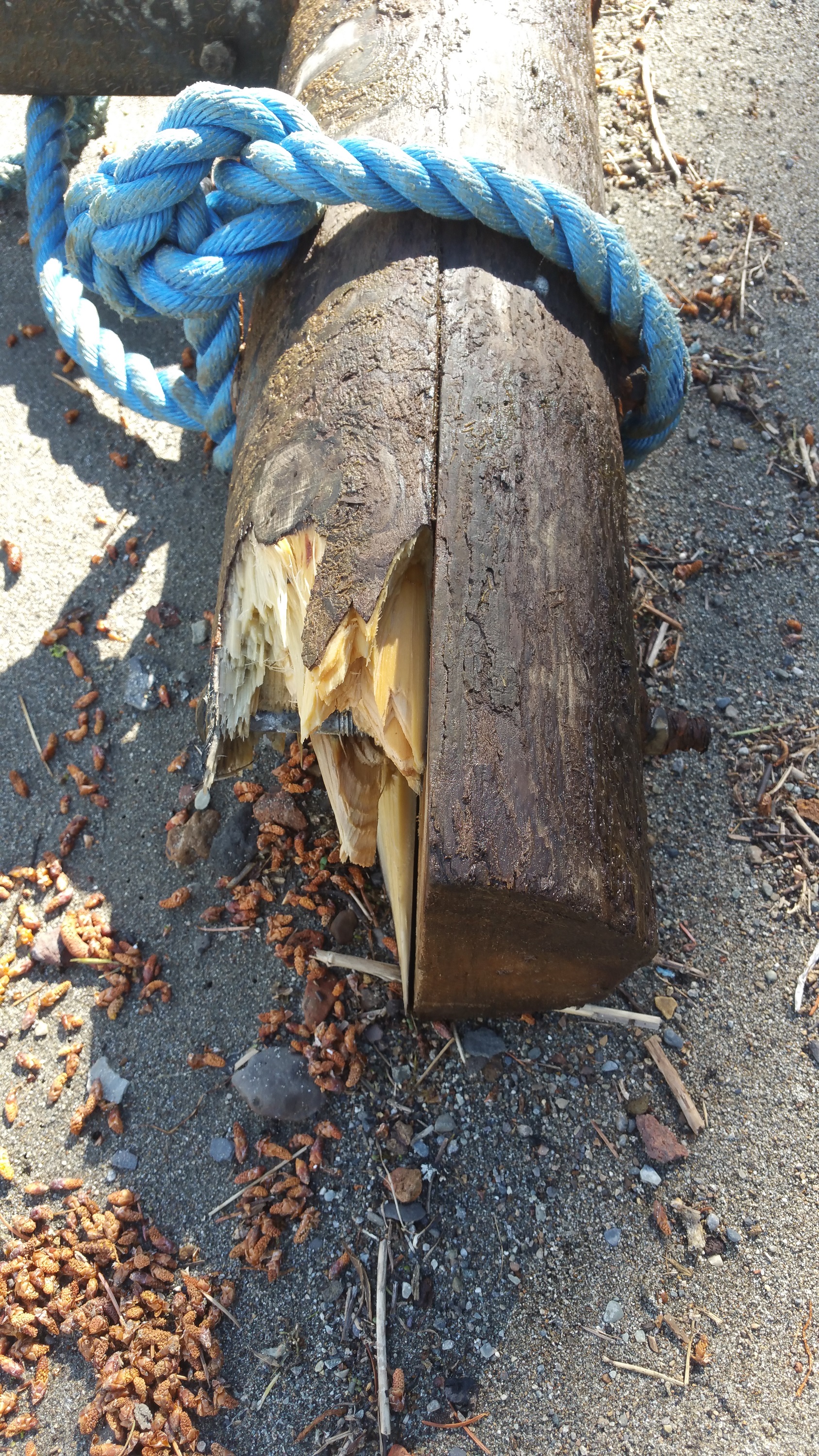 Dock Slip Stabilizer