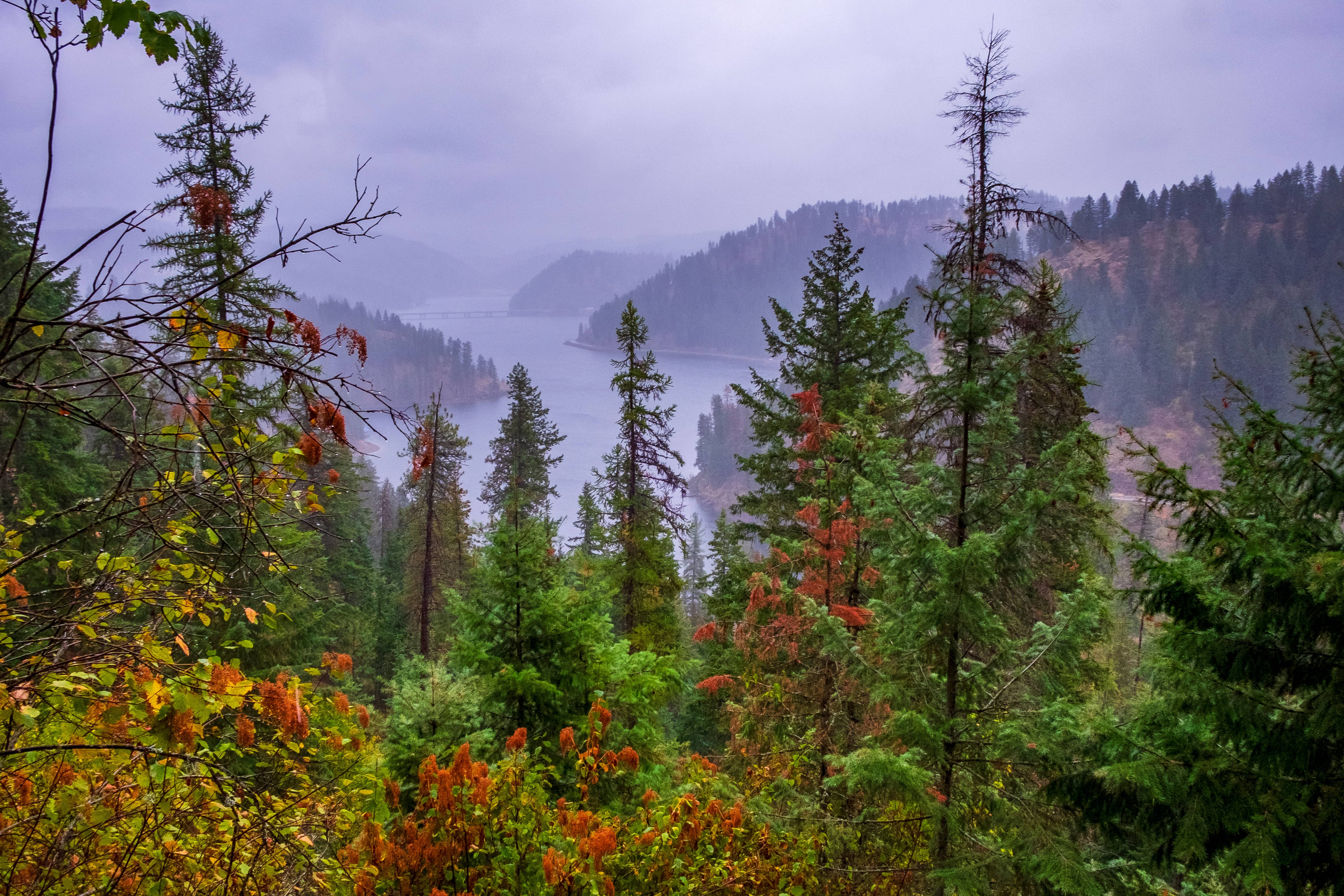 View of Lake Coeur d'Alene